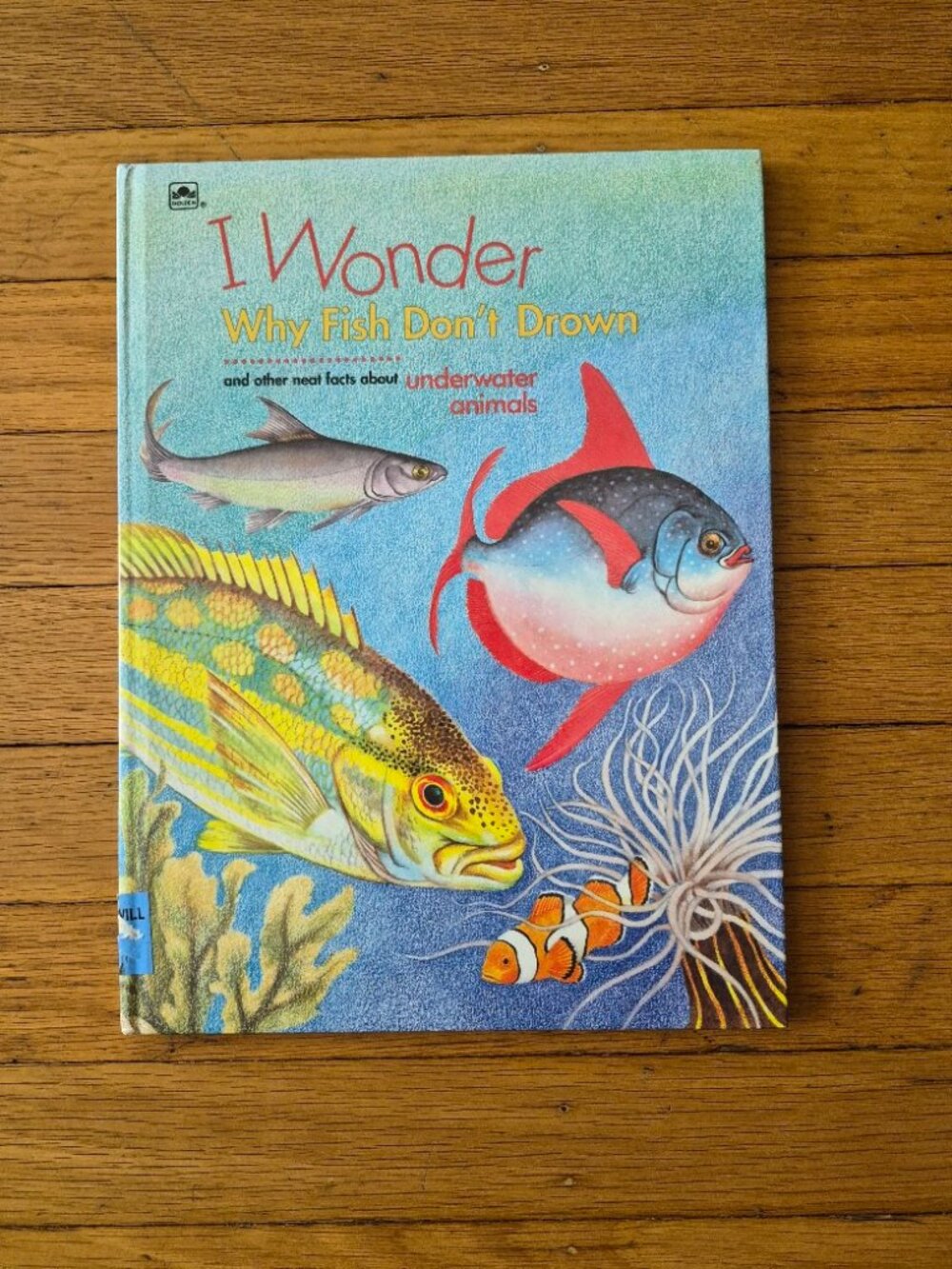 I Wonder Why Fish Don't Drown
